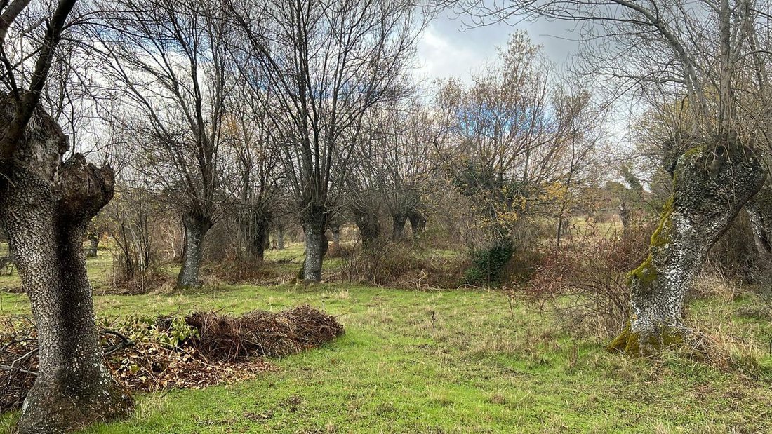 Villa in Navas de Riofrio, Castile and Leon, Spain 5 - 17003643