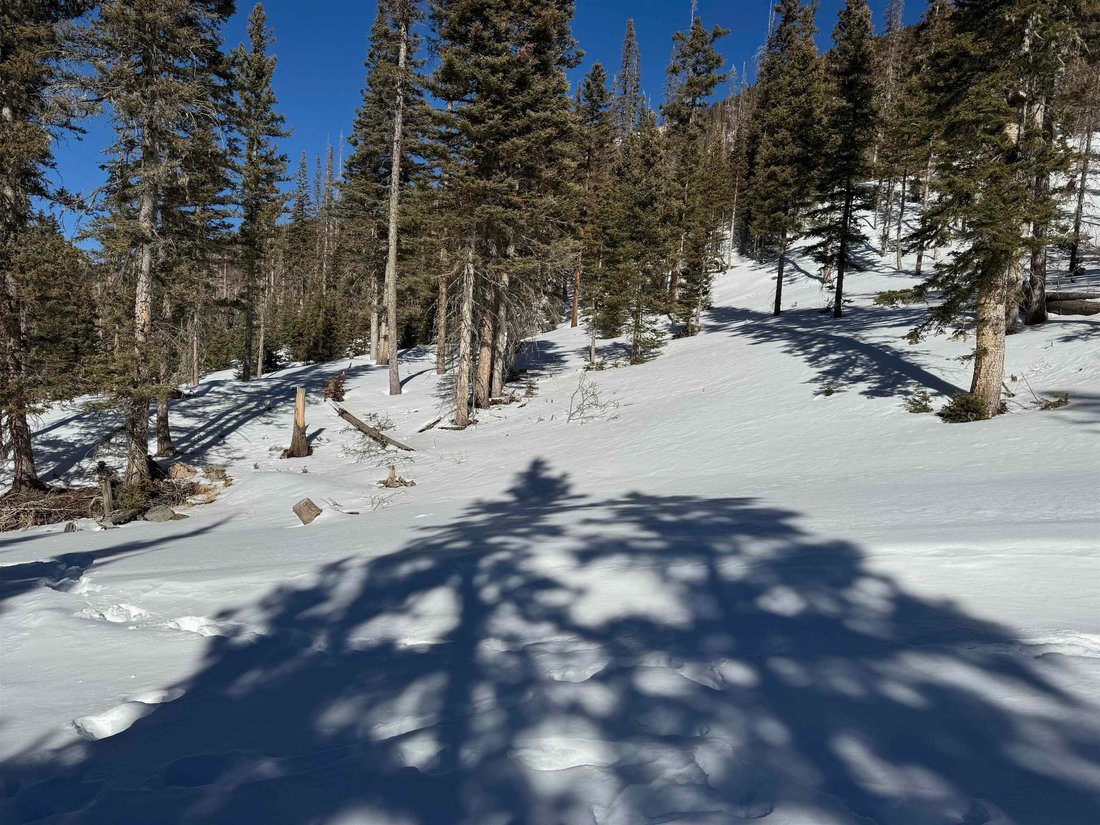 Land in Taos Ski Valley, New Mexico, United States 4 - 17064504