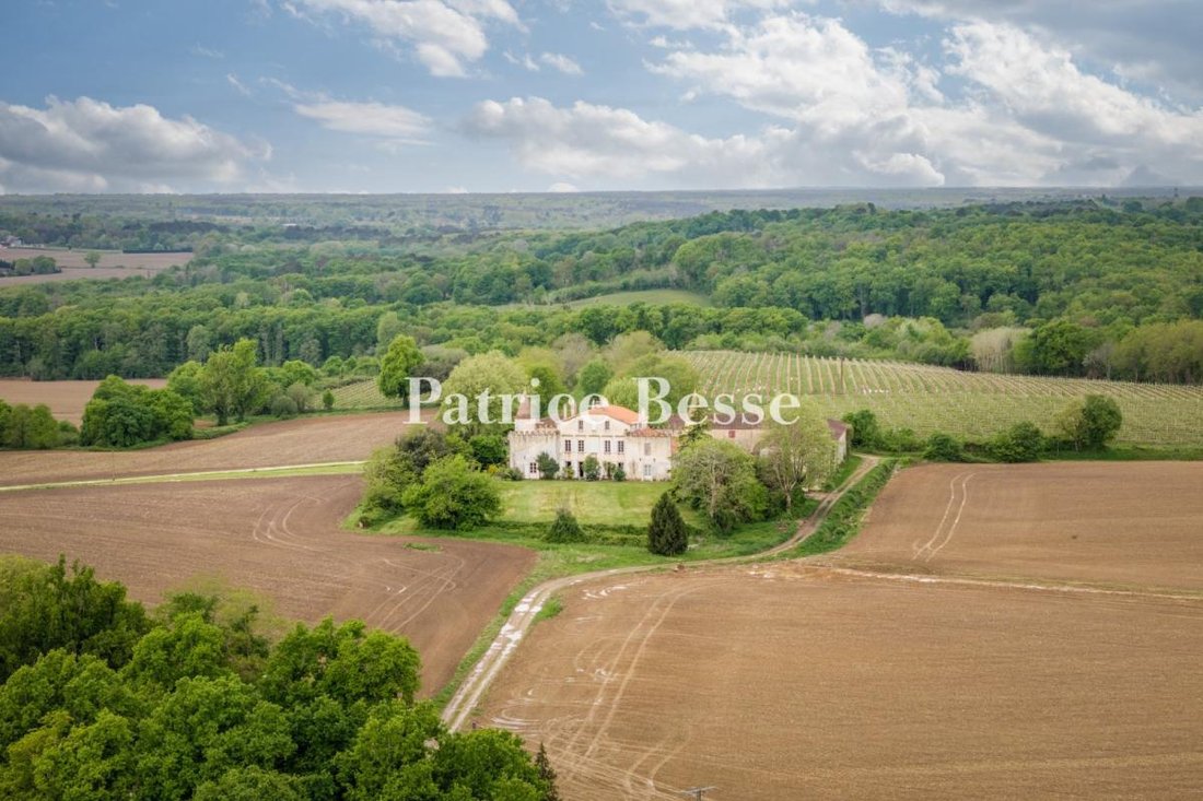 Castle in Bourg Neuf, Mont-de-Marsan, France 2 - 17064416