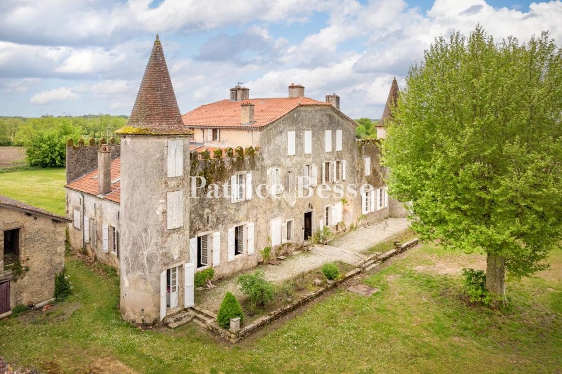 Castle in Bourg Neuf, Mont-de-Marsan, France 1 - 17064416