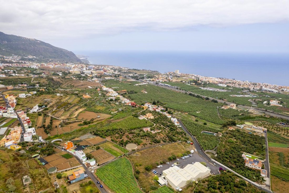 Villa in Los Realejos, Canary Islands, Spain 5 - 15837362