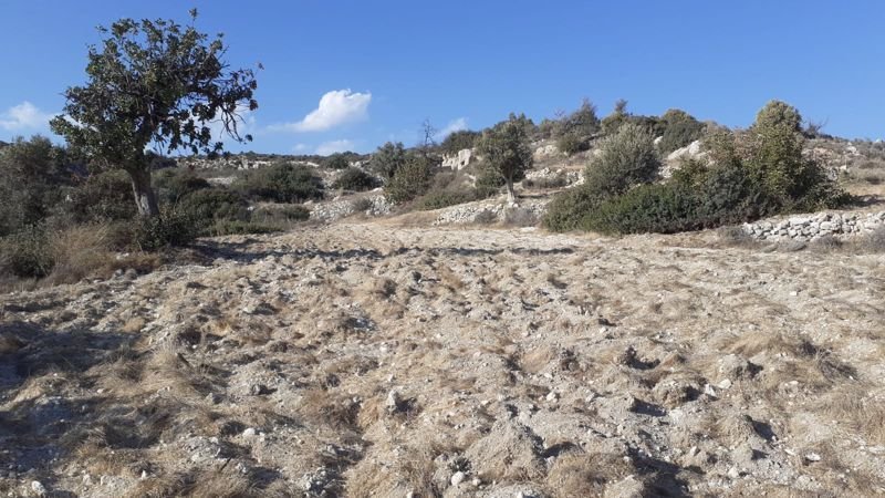 Land in Agios Tychon, Limassol, Cyprus 3 - 15004062