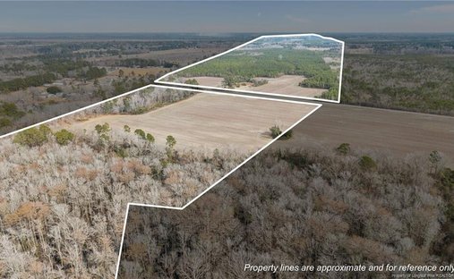 Land in Shannon, North Carolina, United States 1