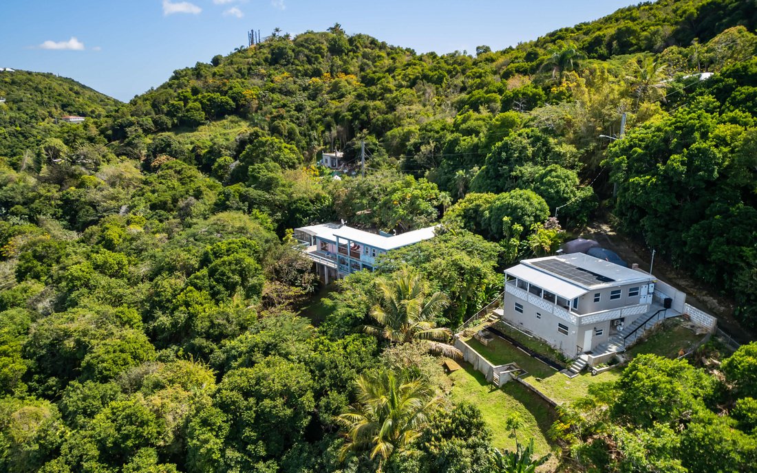 Charlotte Amalie West, St. Thomas, U.S. Virgin Islands 4 - 17066591