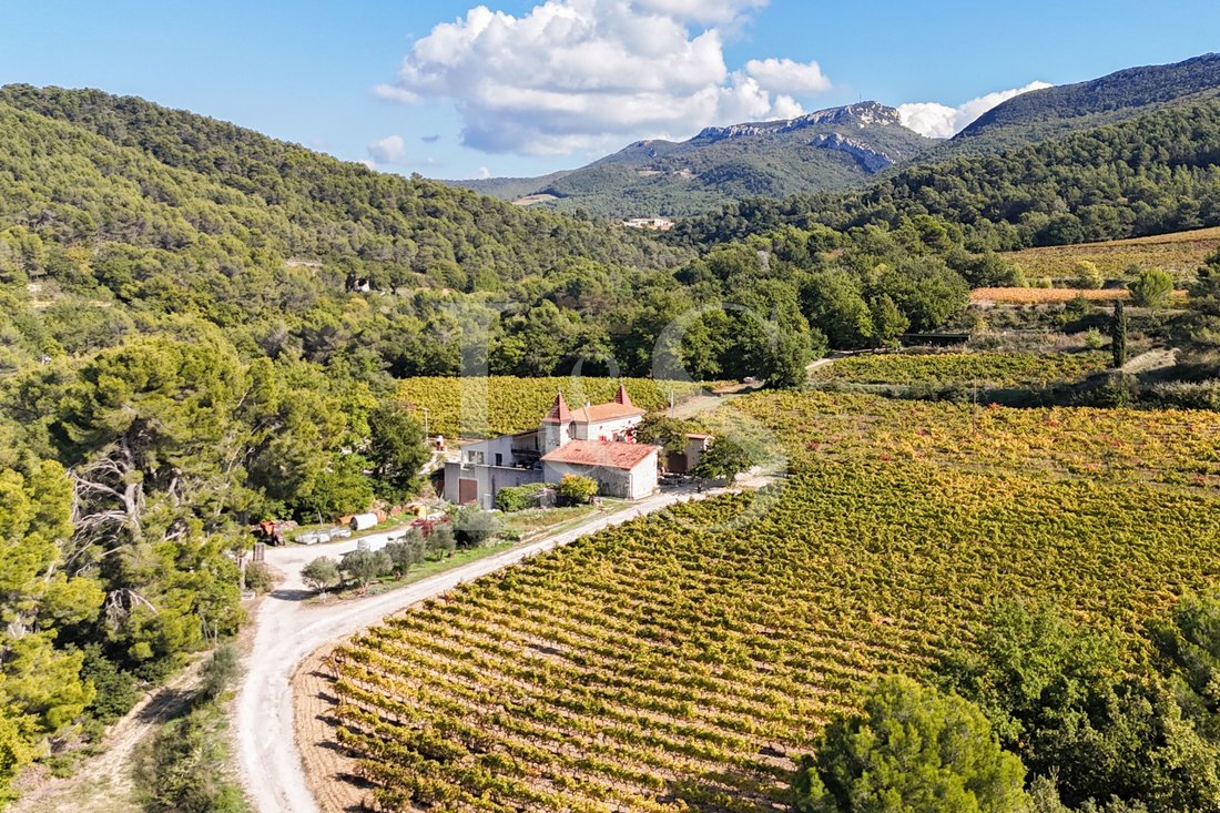 Castle in Gigondas, Provence-Alpes-Côte d'Azur, France 1 - 17066468
