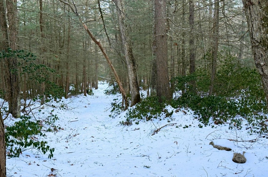 Land in Great Barrington, Massachusetts, United States 4 - 17066538