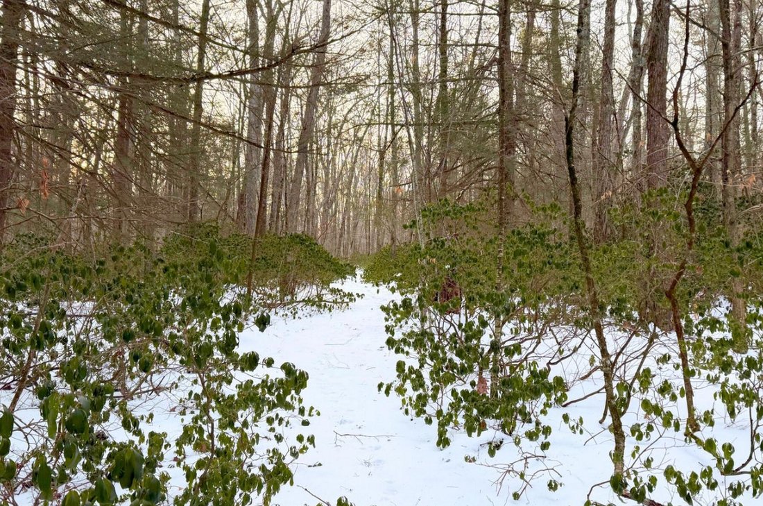 Land in Great Barrington, Massachusetts, United States 3 - 17066538
