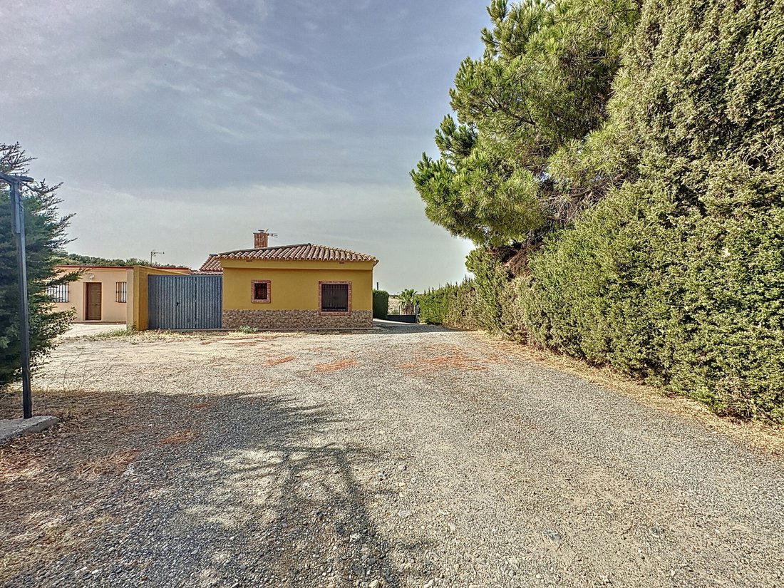 Finca in Estepona, Andalusia, Spain 2 - 17066332