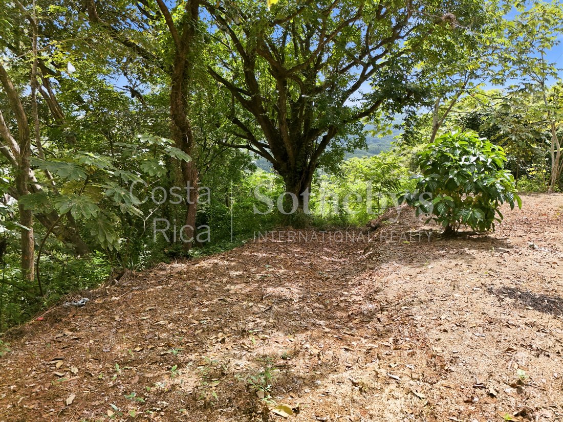 Land in Nosara, Nicoya, Costa Rica 5 - 17066534