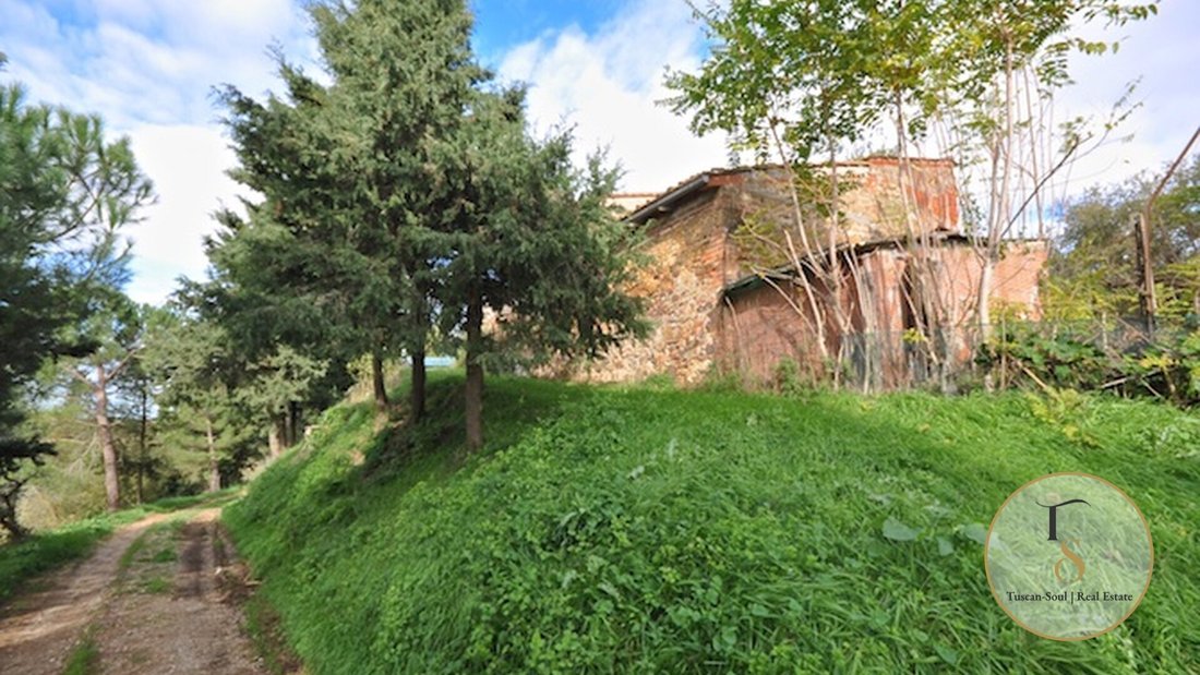 Landhaus in Sinalunga, Toskana, Italien 4 - 17066281