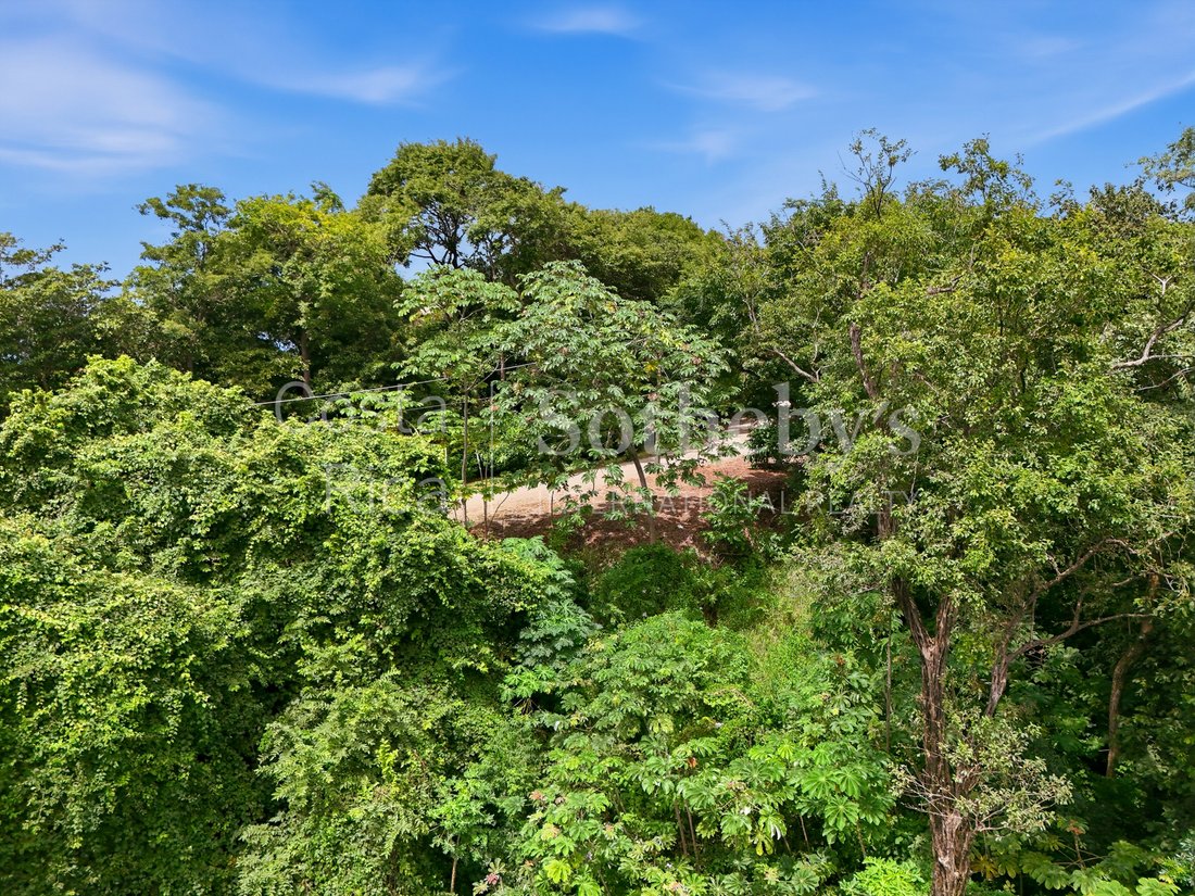 Land in Nosara, Nicoya, Costa Rica 3 - 17066534
