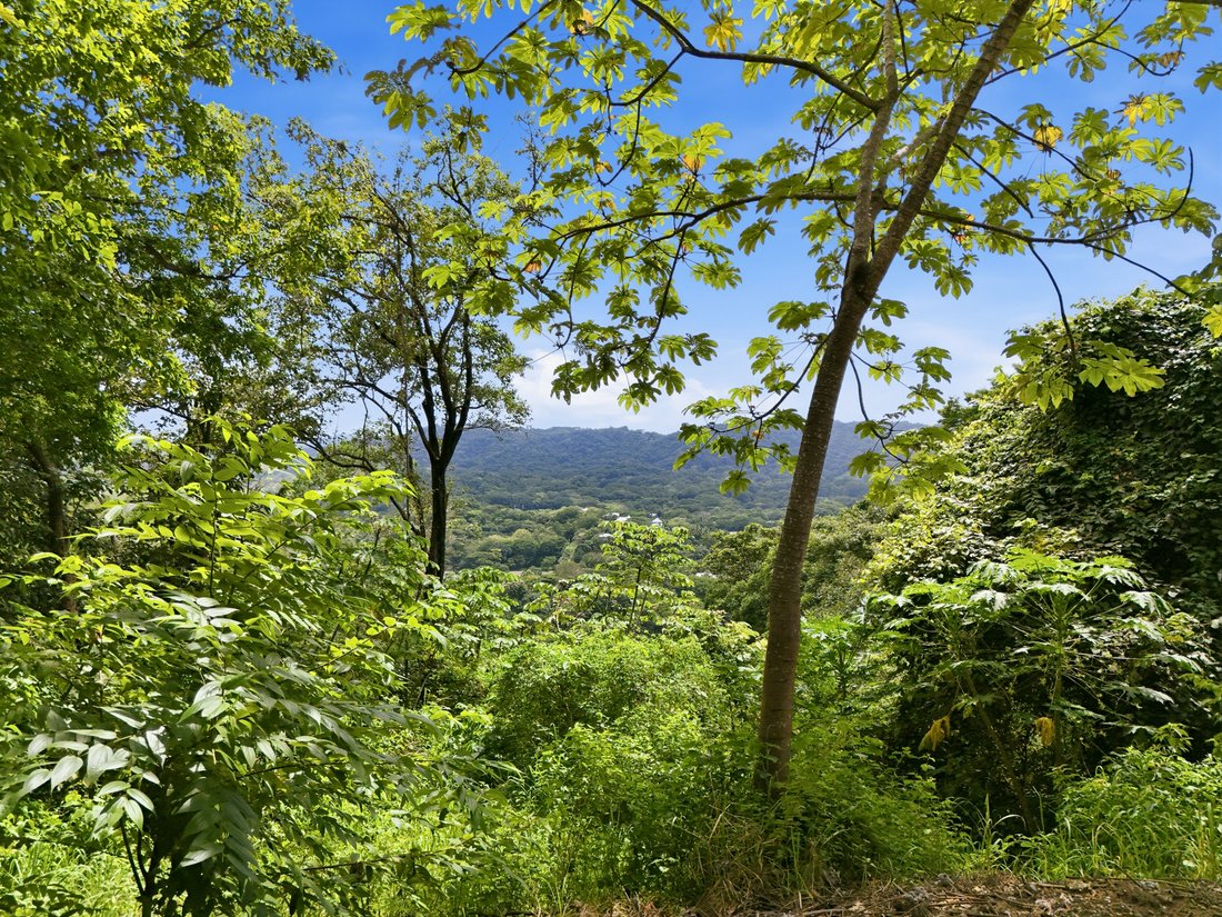 Land in Nosara, Nicoya, Costa Rica 1 - 17066534