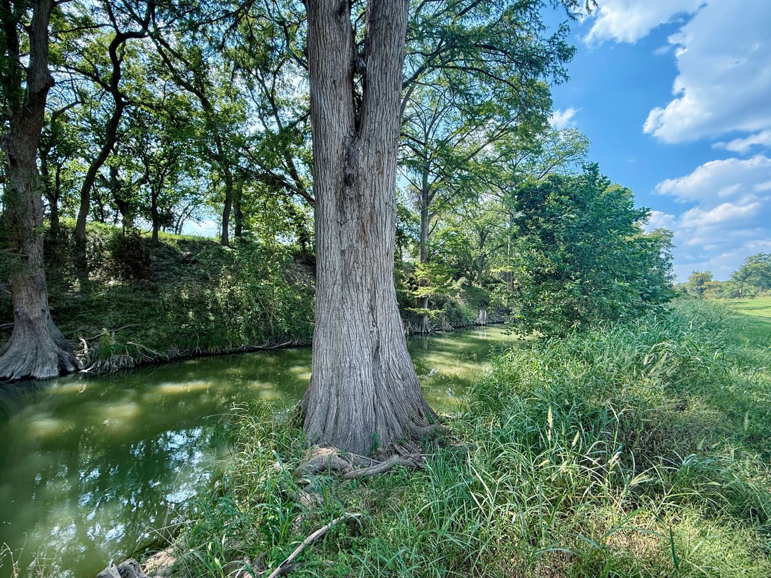 Farm Ranch in Boerne, Texas, United States 3 - 17067253