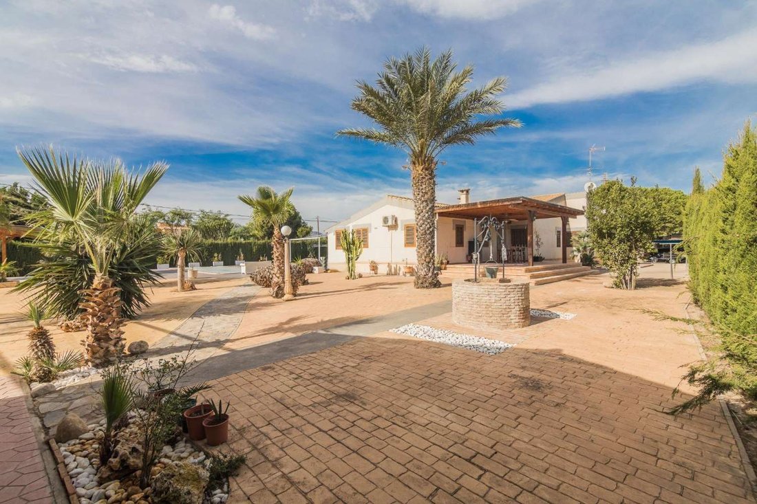 Villa in Elx / Elche, Valencian Community, Spain 1 - 17071329