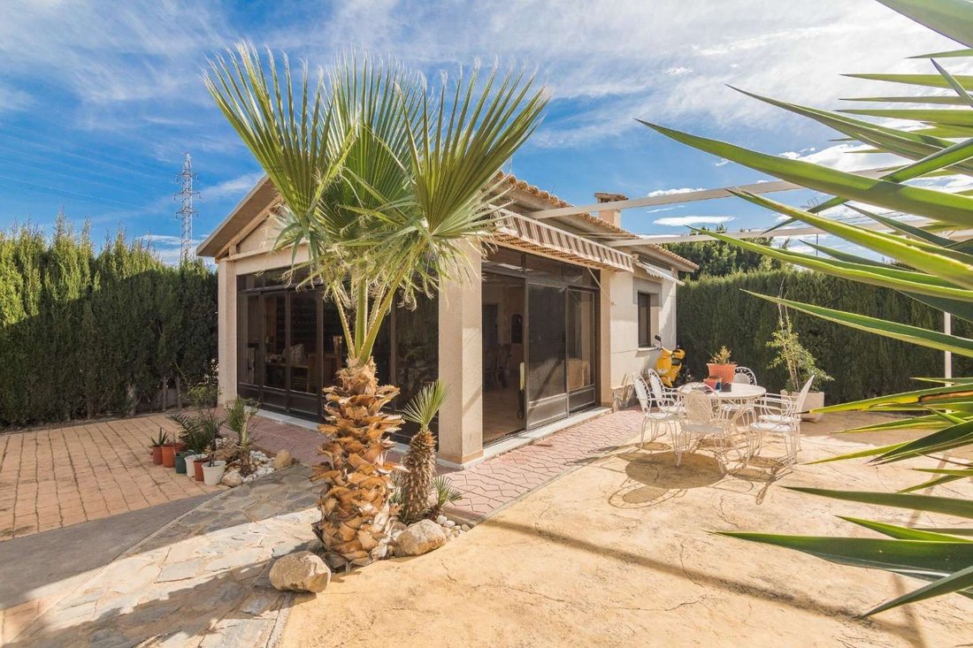 Villa in Elx / Elche, Valencian Community, Spain 5 - 17071329