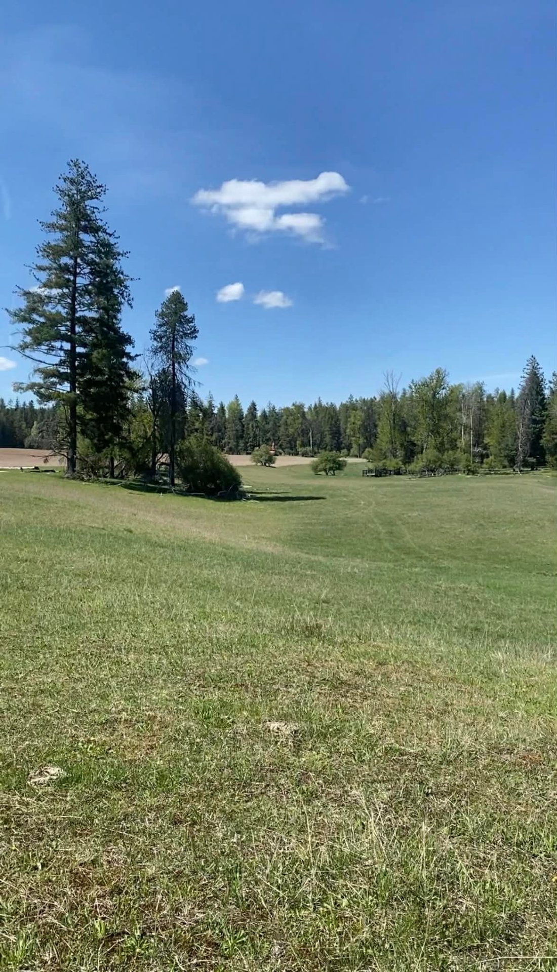Land in Cusick, Washington, United States 5 - 17068543
