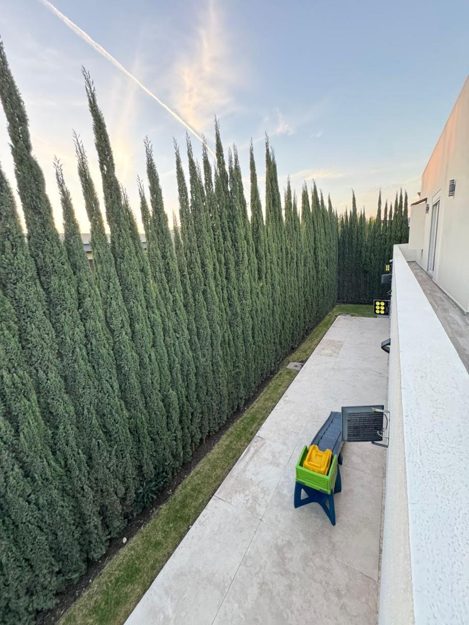 Maison à Santiago de Querétaro, Santiago de Querétaro, Mexique 4 - 17068684