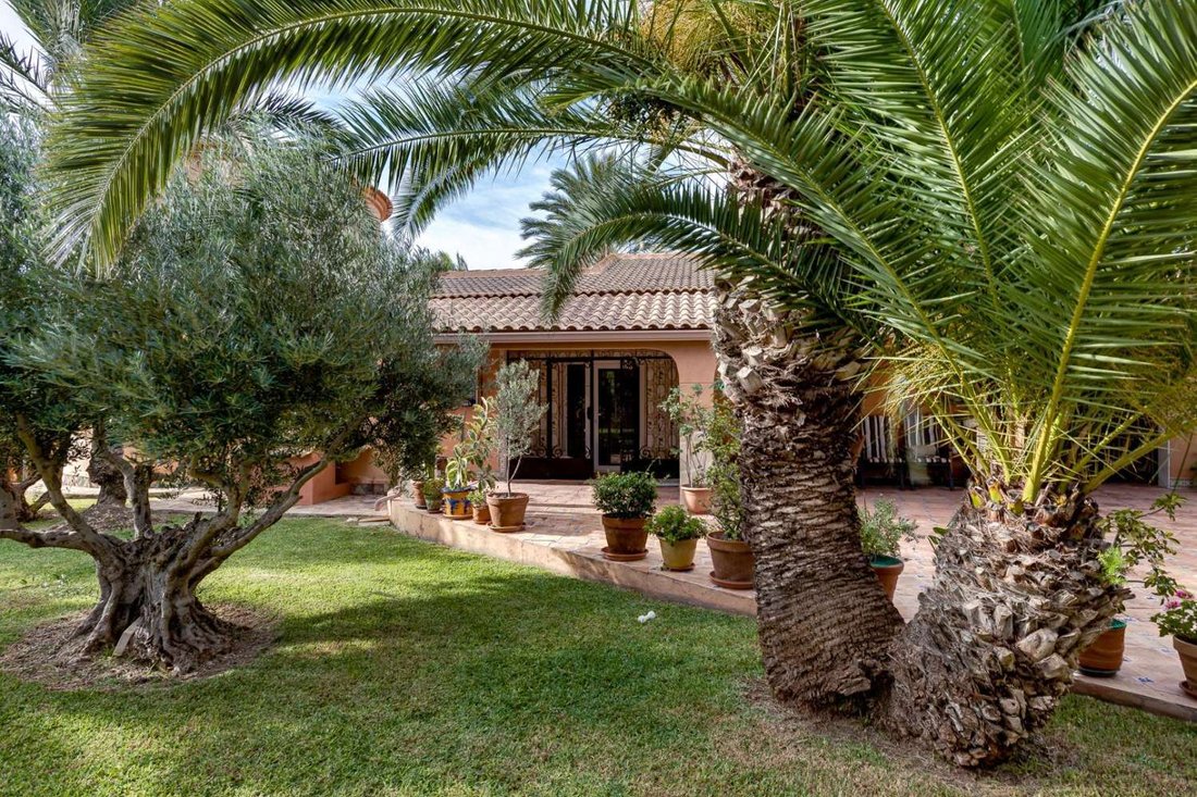 Villa in Torrevieja, Valencian Community, Spain 5 - 17071308