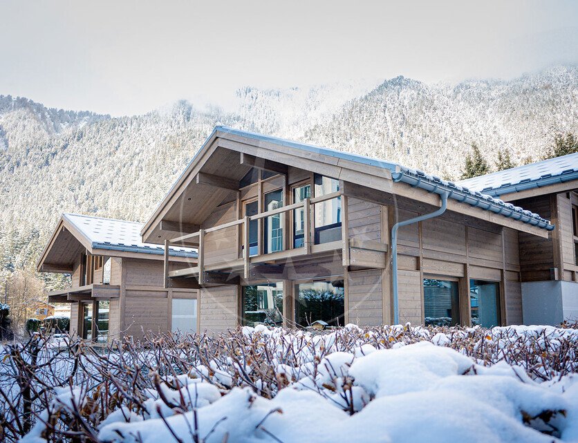 Chalet in Chamonix-Mont-Blanc, Auvergne-Rhône-Alpes, France 1 - 17070628
