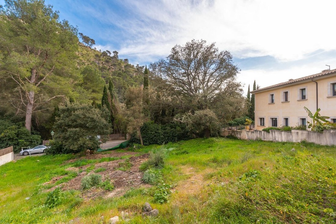 Land in Pollenca, Balearic Islands, Spain 3 - 17068799