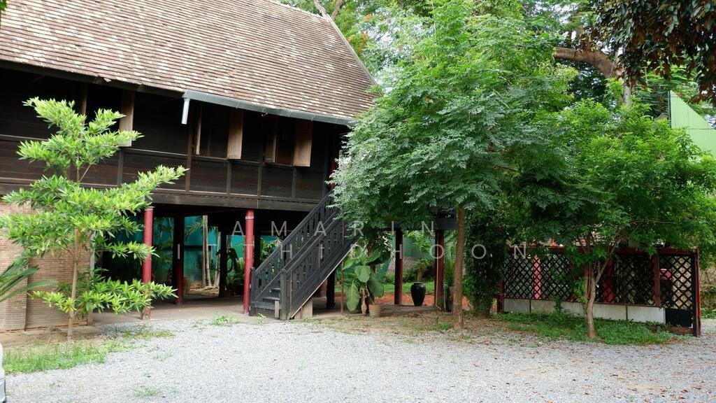 House in Chang Khlan Sub-district, Chiang Mai, Thailand 1 - 15941585