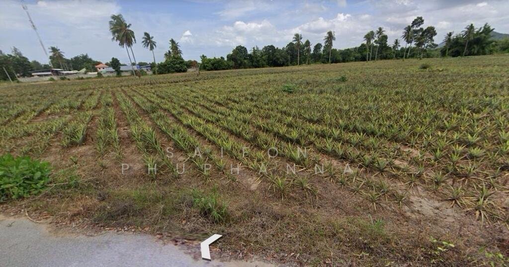 Land in Sam Phraya, Phetchaburi, Thailand 5 - 15312872