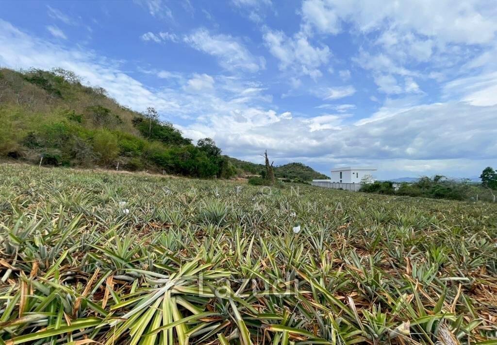 Land in Wang Pong, Prachuap Khiri Khan, Thailand 5 - 15312849