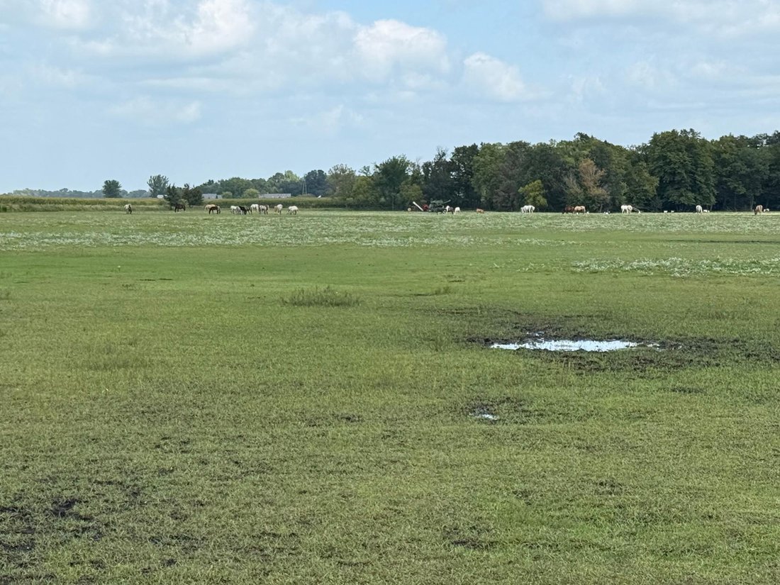 Land in North Mankato, Minnesota, United States 1 - 17071259