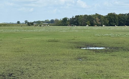 Land in North Mankato, Minnesota, United States 1