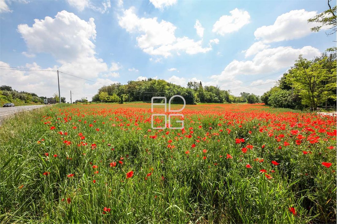 Land in Desenzanino, Desenzano del Garda, Lombardy 5 - 17070731