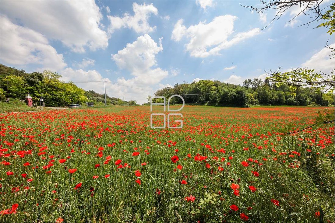 Land in Desenzanino, Desenzano del Garda, Lombardy 1 - 17070731