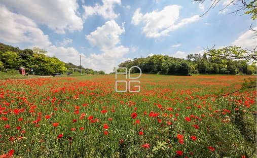 Land in Desenzanino, Desenzano del Garda, Lombardy 1