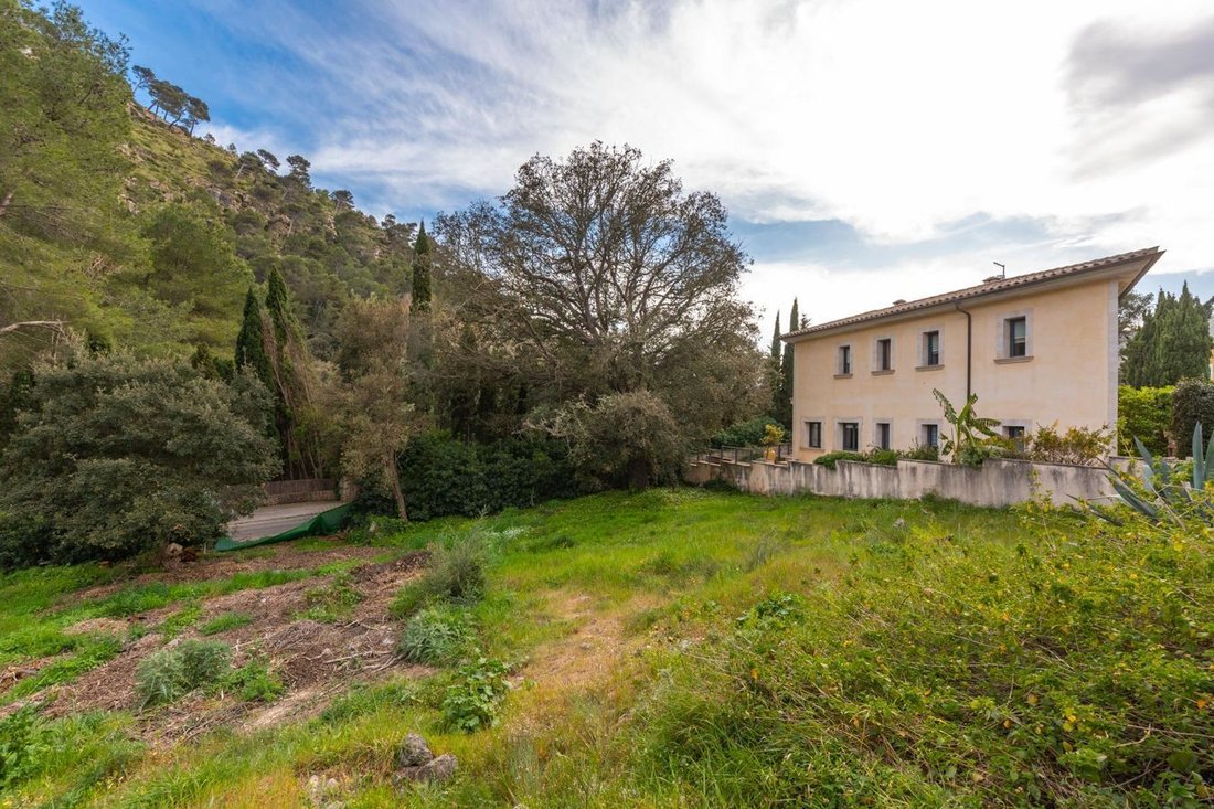 Land in Pollenca, Balearic Islands, Spain 4 - 17068799