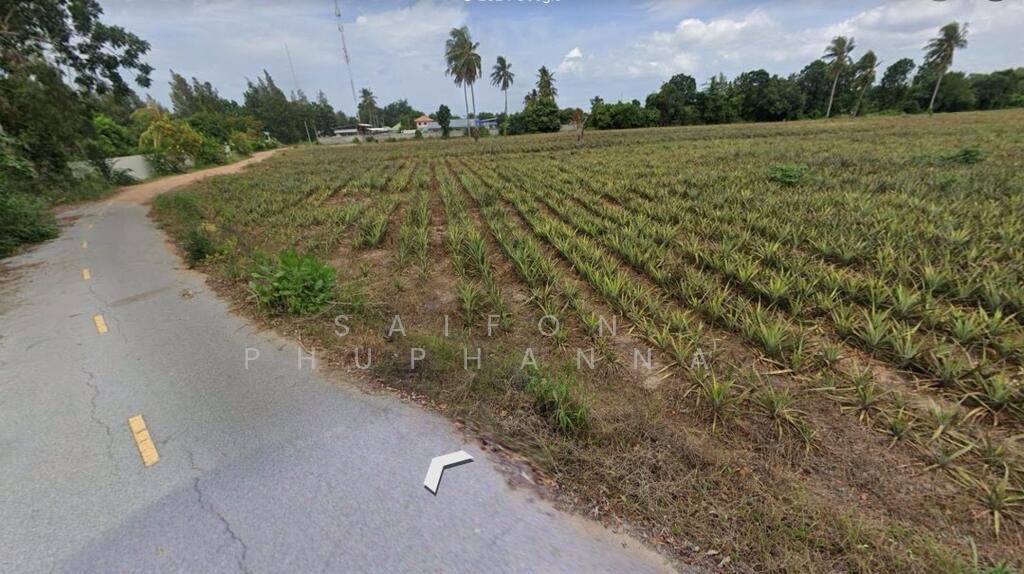 Land in Sam Phraya, Phetchaburi, Thailand 4 - 15312872