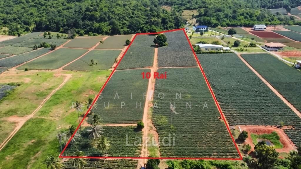 16,000.0 Sqm Land For Sale, Prachuap Khiri Khan