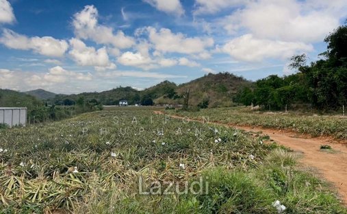 Land in Wang Pong, Prachuap Khiri Khan, Thailand 1