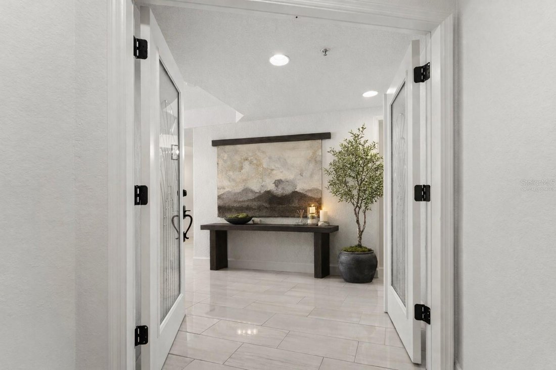 Condo in St. Petersburg, Florida, United States 4 - 17070882