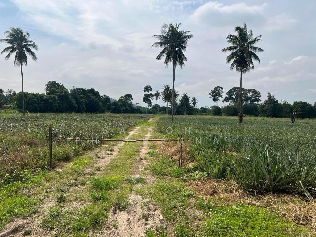 Land in Sam Phraya, Phetchaburi, Thailand 2 - 15312872