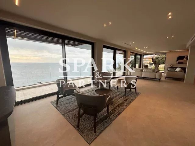 Villa in Cabbe-Saint Roman, Roquebrune-Cap-Martin, France 5 - 15976577