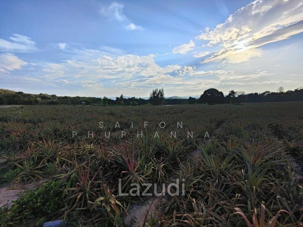 Land in Hua Hin, Prachuap Khiri Khan, Thailand 3 - 15312940