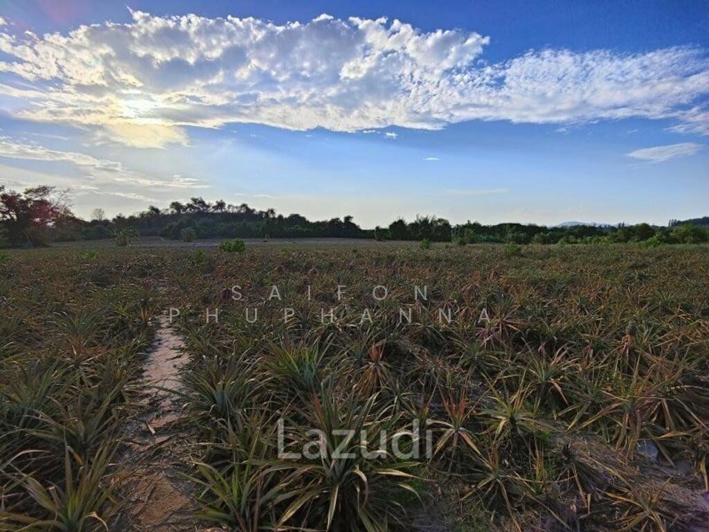 Land in Hua Hin, Prachuap Khiri Khan, Thailand 5 - 15312940