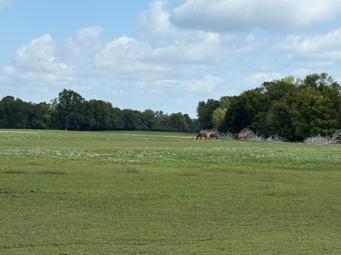 Land in North Mankato, Minnesota, United States 2 - 17071259