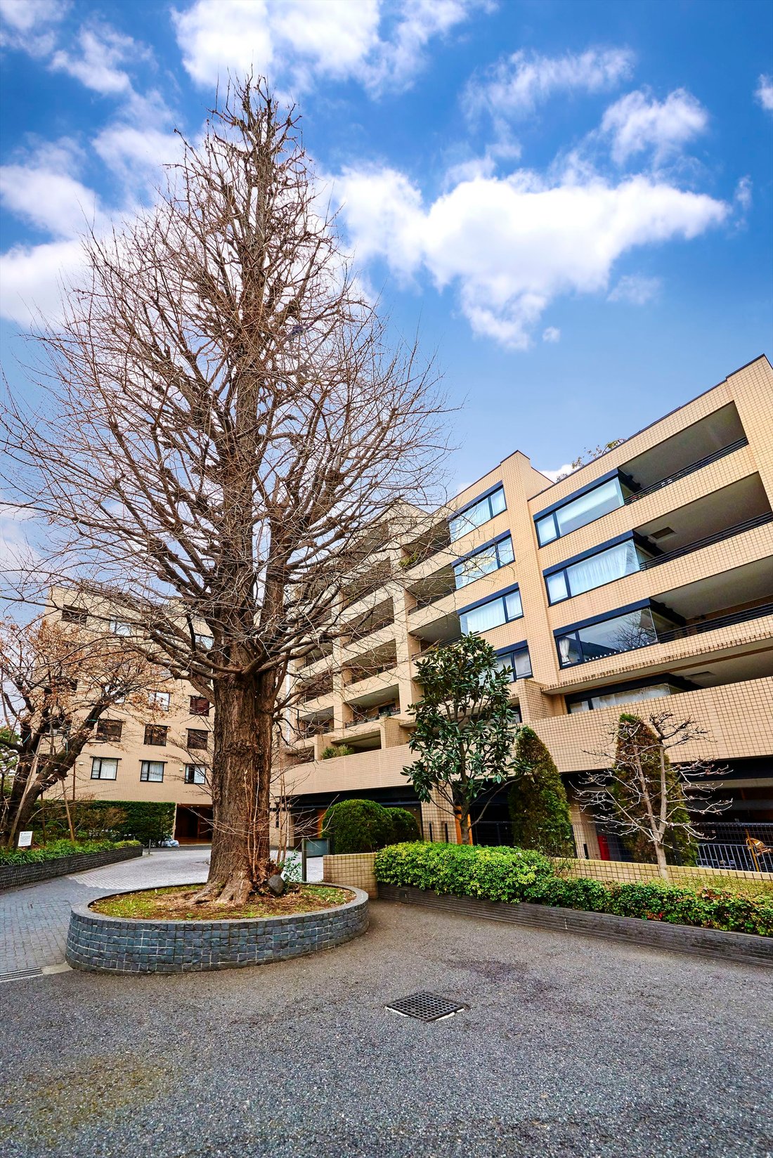 Condo in Minato City, Tokyo, Japan 5 - 17072260
