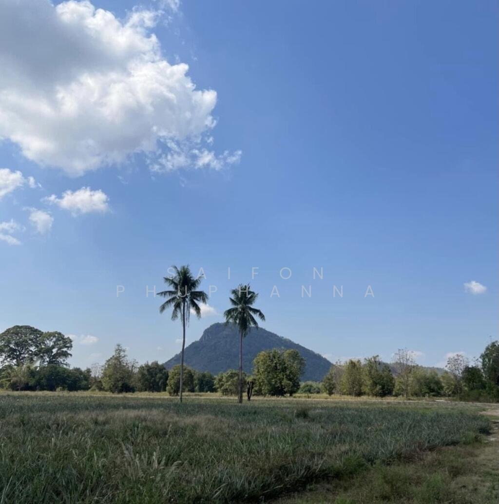 Land in Sam Phraya, Phetchaburi, Thailand 3 - 15312872