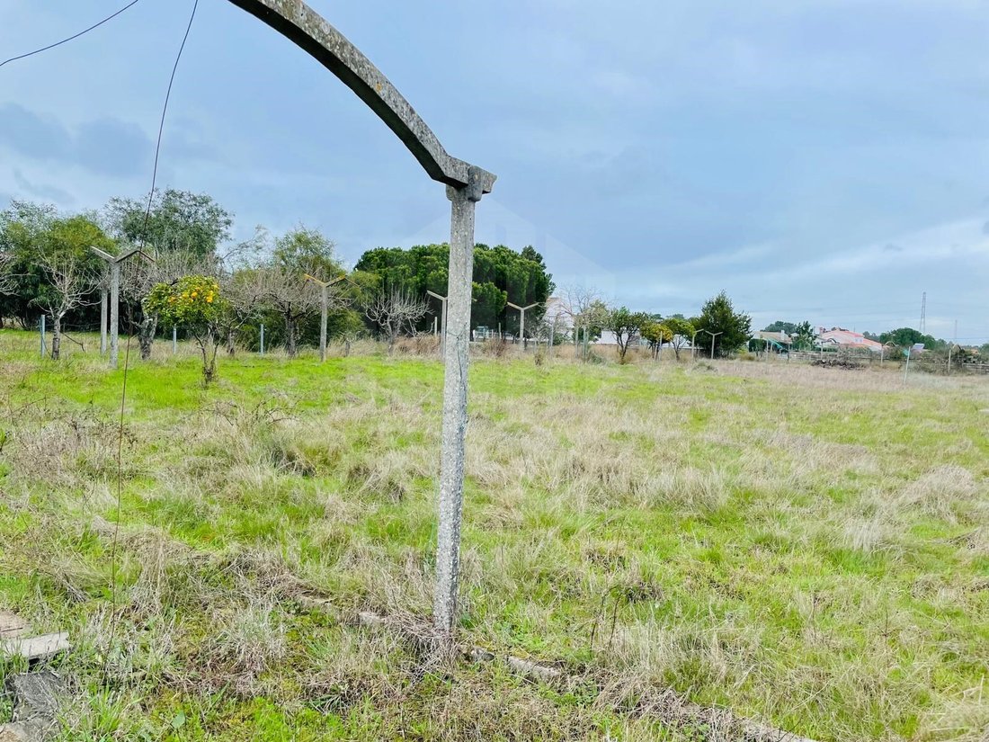 Land in Fernao Ferro, Setubal, Portugal 4 - 12274386