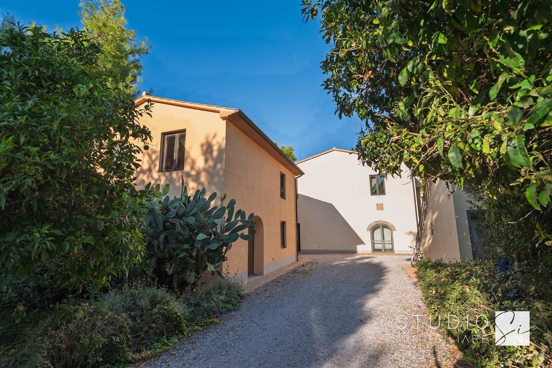 Finca in Castagneto Carducci, Tuscany, Italy 2 - 17070786
