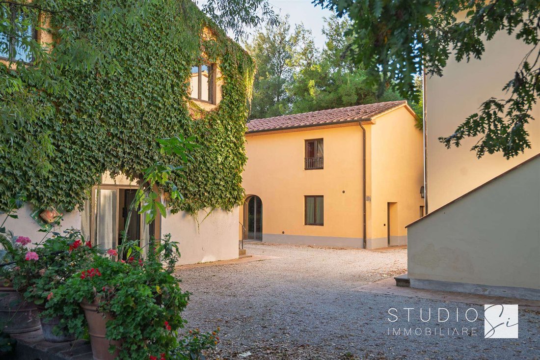 Finca in Castagneto Carducci, Tuscany, Italy 5 - 17070786