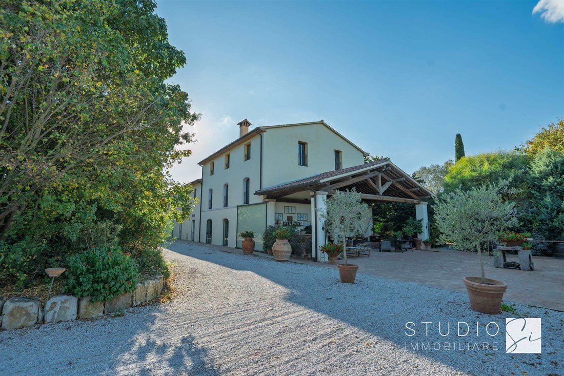 Finca in Castagneto Carducci, Tuscany, Italy 1 - 17070786