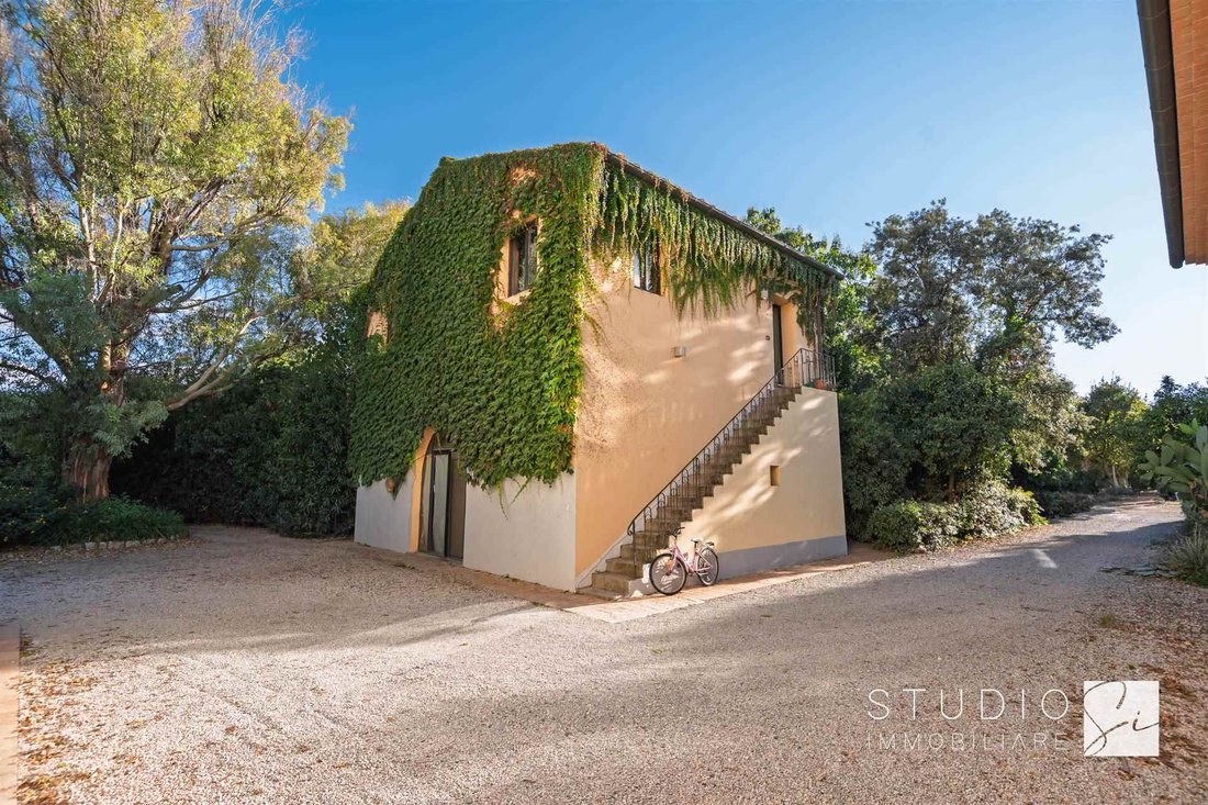 Finca in Castagneto Carducci, Tuscany, Italy 3 - 17070786