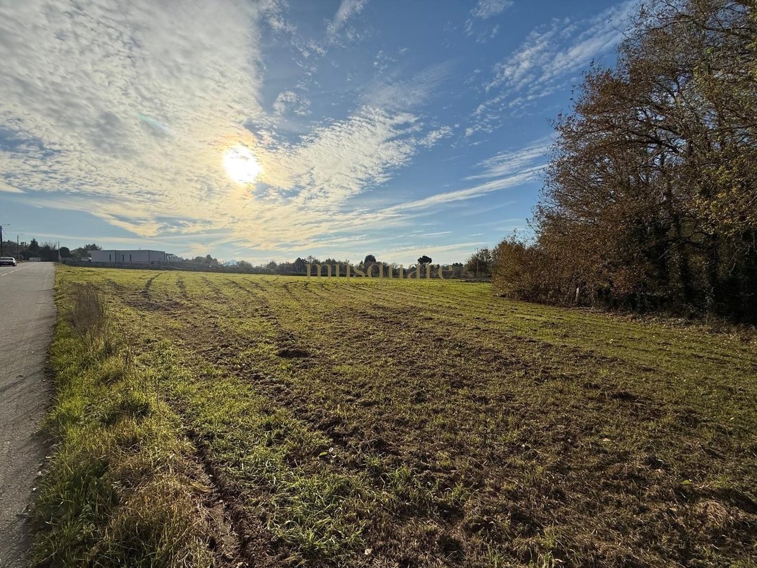 Land in Vila Nova de Cerveira, Viana do Castelo District, Portugal 2 - 17069118
